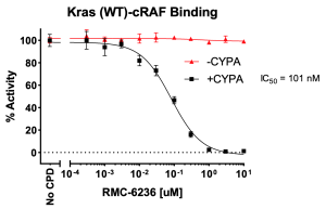 Kras (WT)/cRAF/CYPA/Inhibitor Assay Kit 